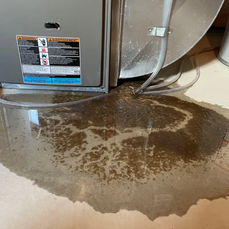 Appliance Leak Cleanup in Walkertown, NC